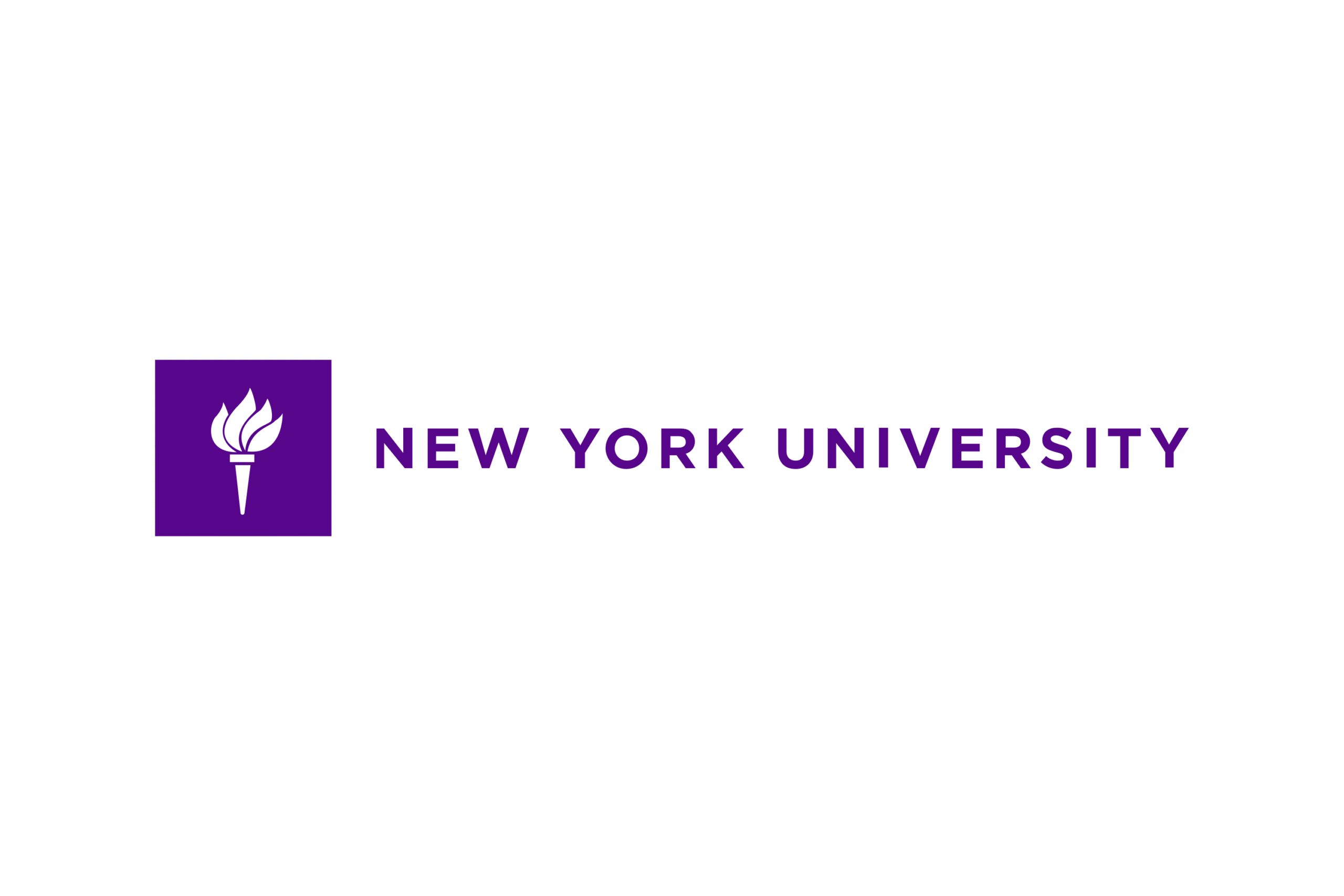 Bachelor in Computer Science | New York University